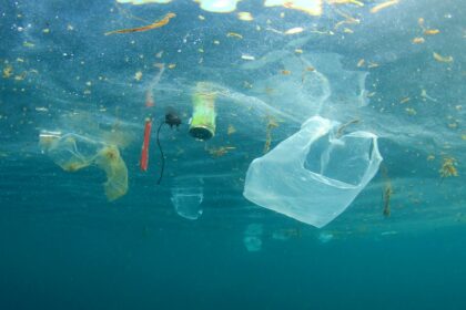poluare plastic